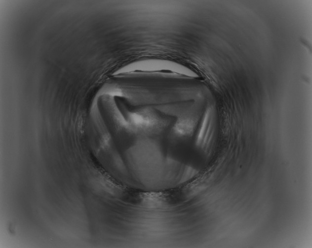 X0000091910273200710031025