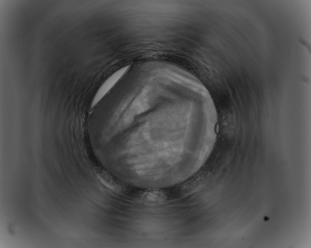 X0000091910275200710031025