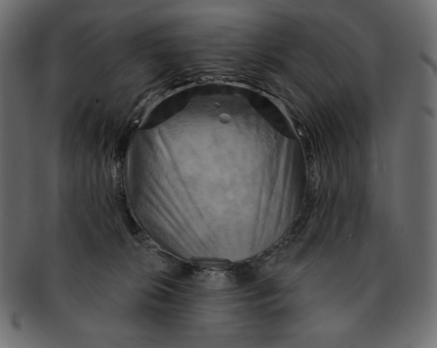 X0000091910276200710031025