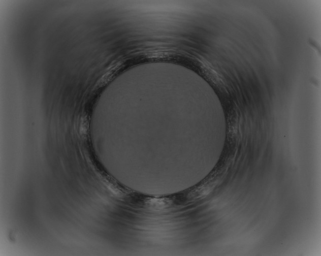 X0000091910277200710031025