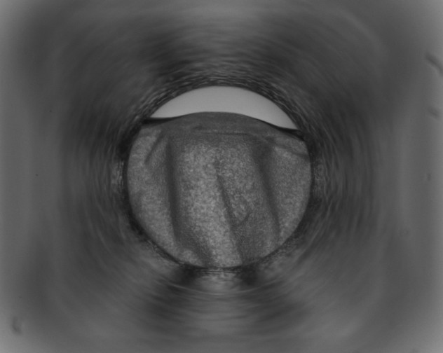 X0000091910278200710031025