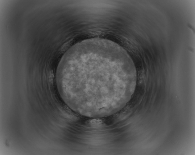 X0000091910279200710031025