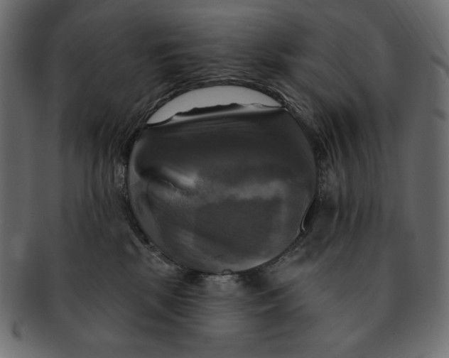 X0000091910281200710031025