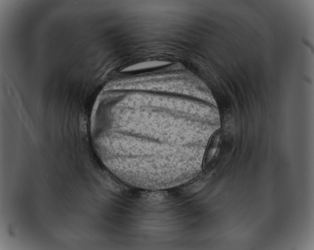 X0000091910282200710031025