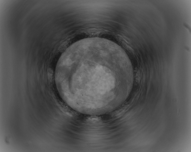 X0000091910283200710031025