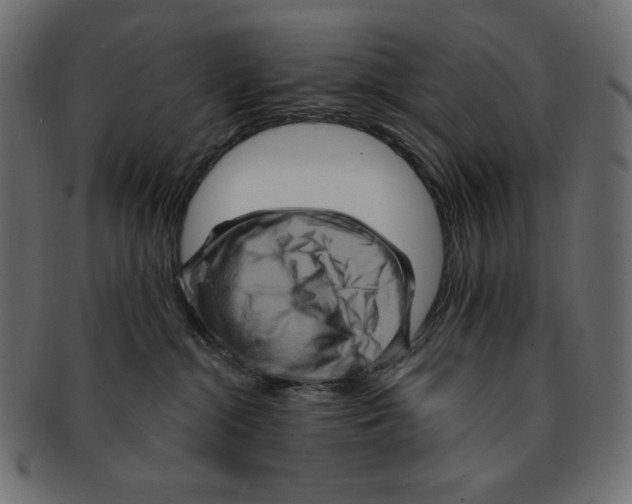 X0000091910284200710031025