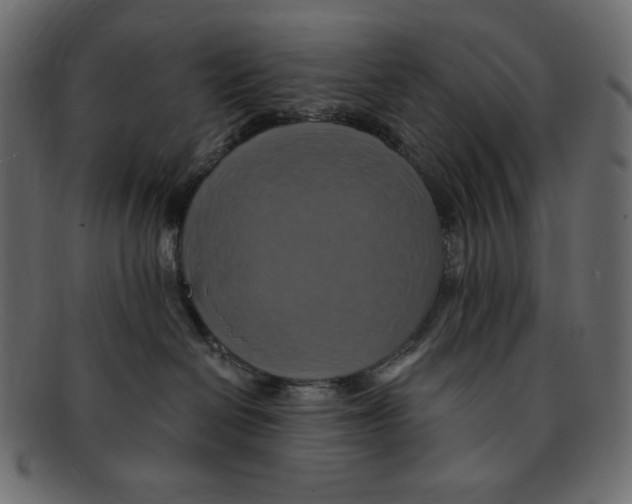 X0000091910286200710031025