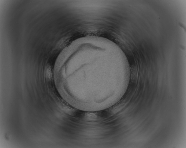 X0000091910287200710031025