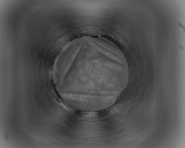 X0000091910288200710031025