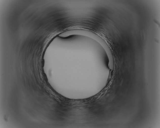 X0000091910289200710031024