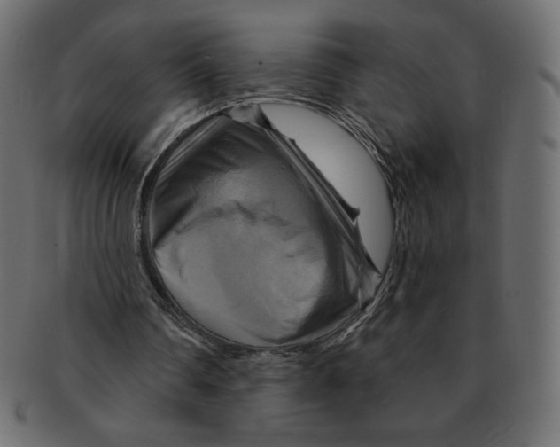 X0000091910290200710031024