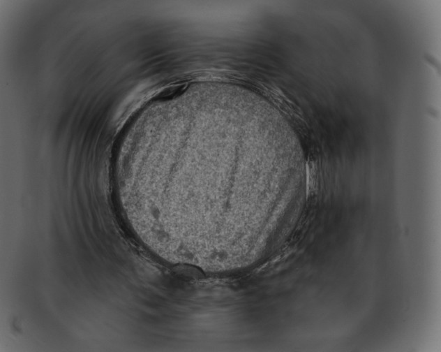 X0000091910291200710031024