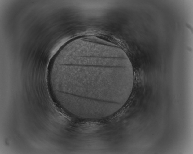 X0000091910292200710031024