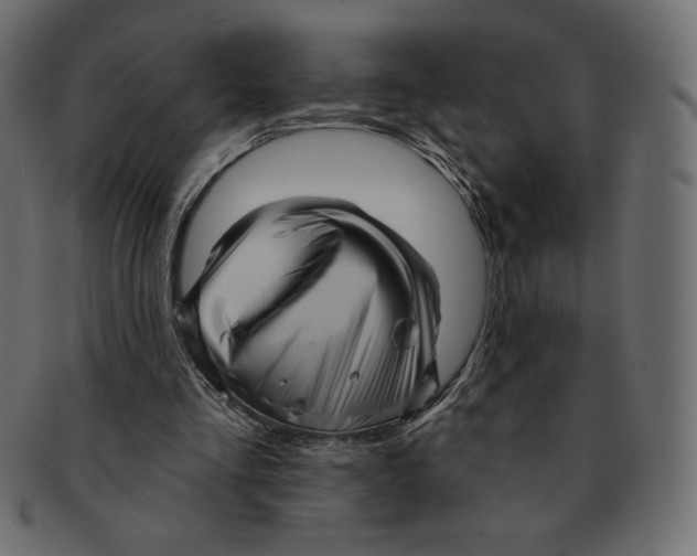 X0000091910293200710031024