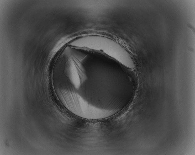 X0000091910295200710031024