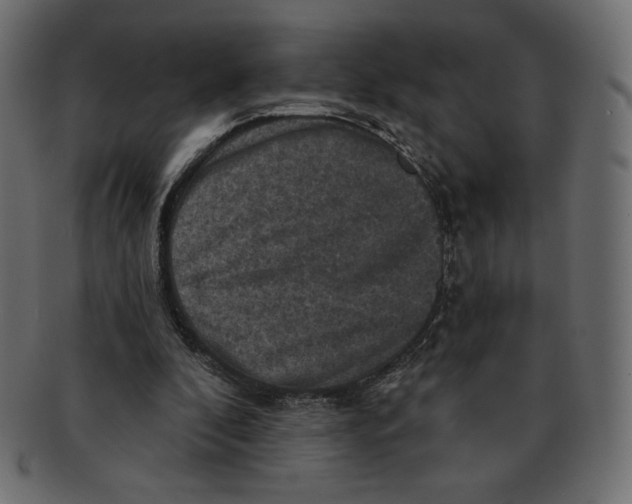 X0000091910296200710031024