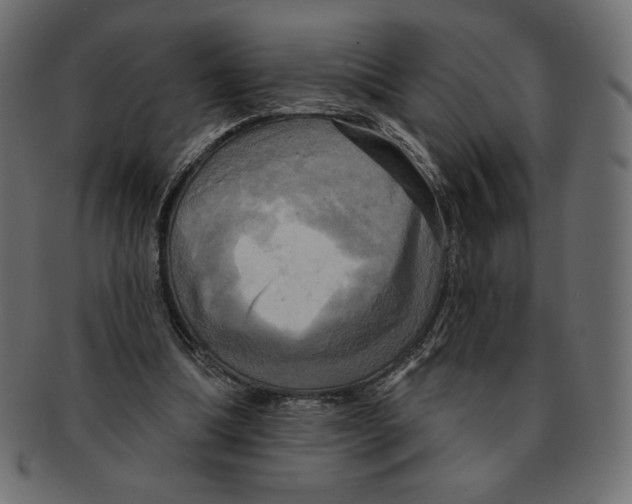 X0000091910298200710031024