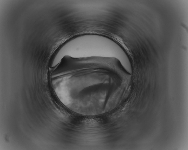 X0000091910299200710031024