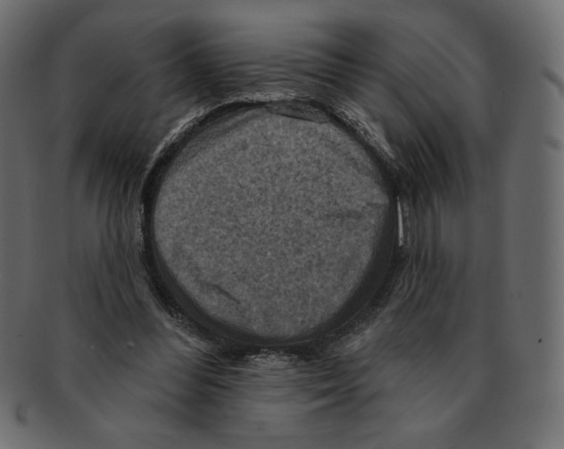 X0000091910300200710031024