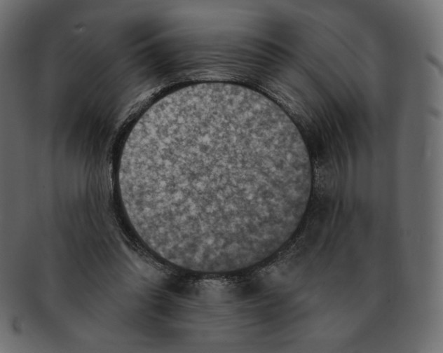 X0000091910302200710031024