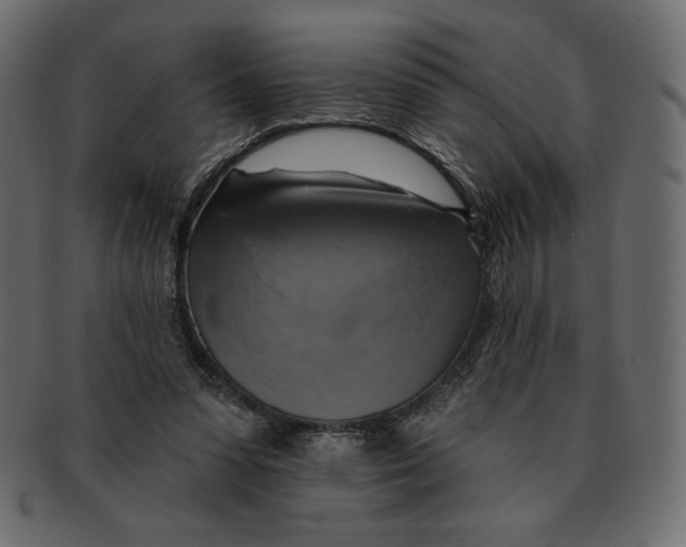 X0000091910303200710031024