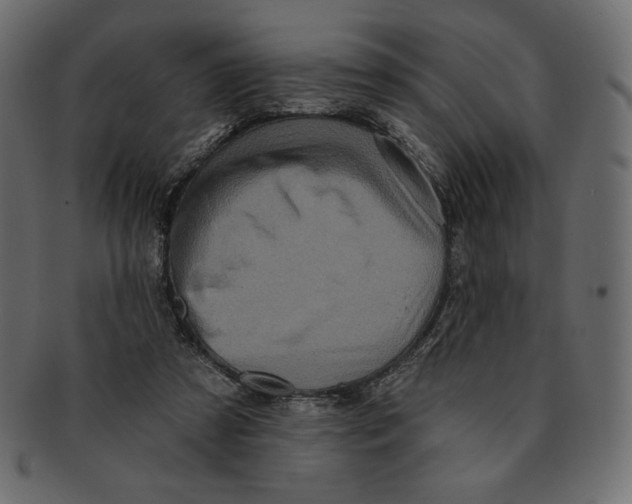 X0000091910305200710031024