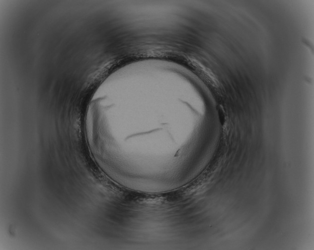 X0000091910306200710031024