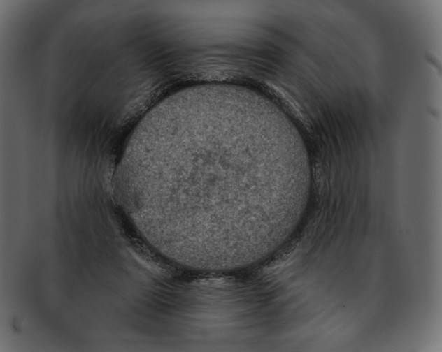 X0000091910307200710031024