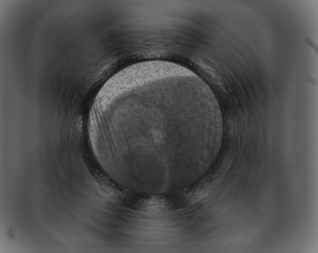 X0000091910308200710031024