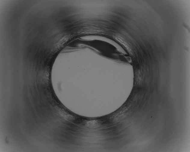 X0000091910309200710031024