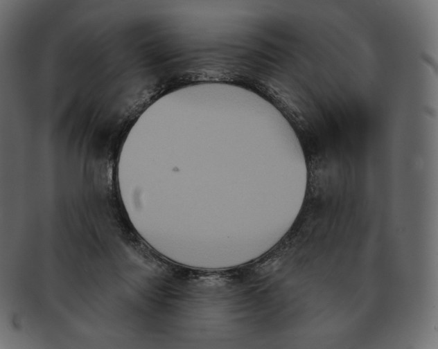 X0000091910310200710031024