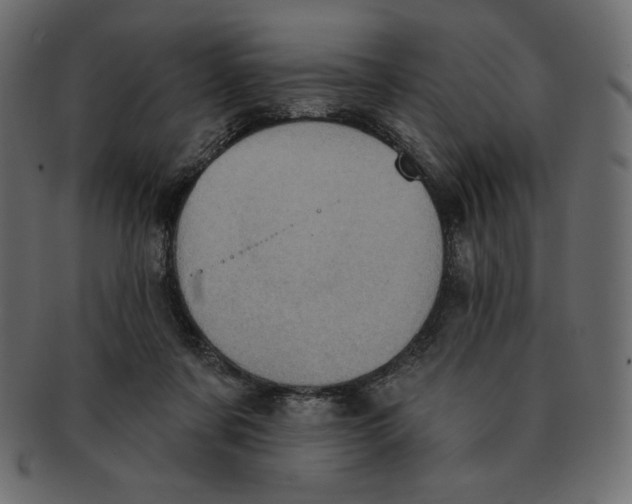 X0000091910311200710031024