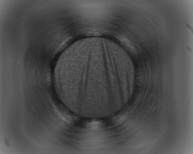 X0000091910312200710031024