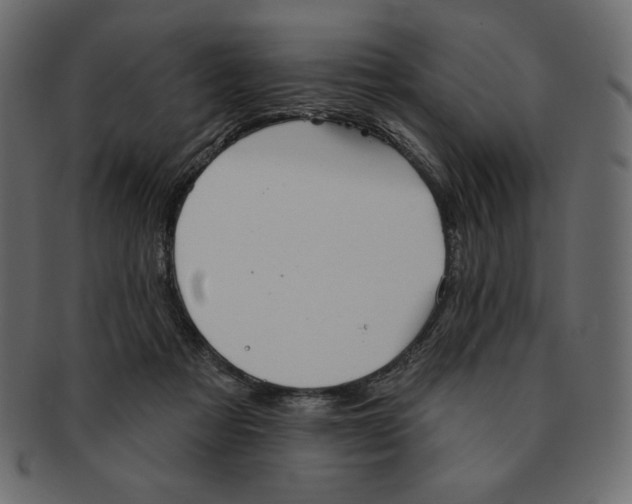 X0000091910313200710031024