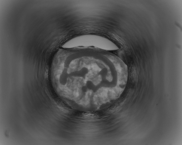 X0000091910315200710031024