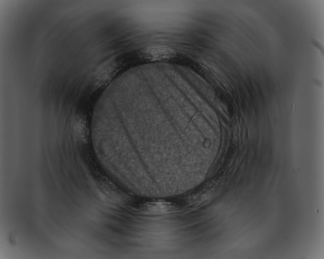 X0000091910316200710031024