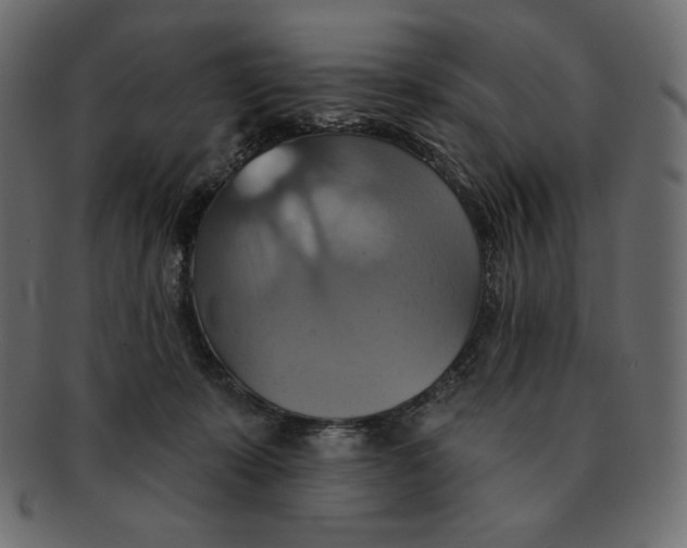 X0000091910319200710031024