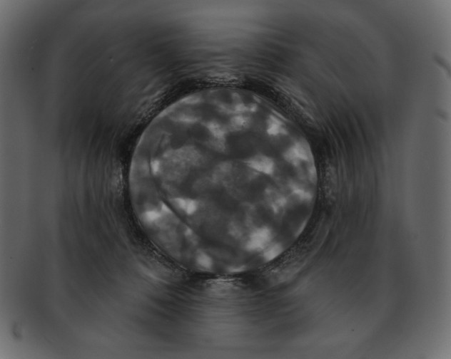 X0000091910320200710031024