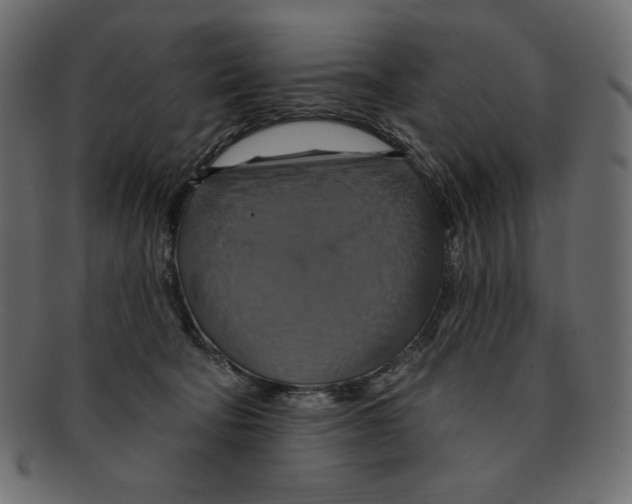 X0000091910322200710031024