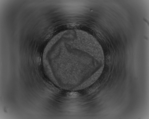 X0000091910324200710031024