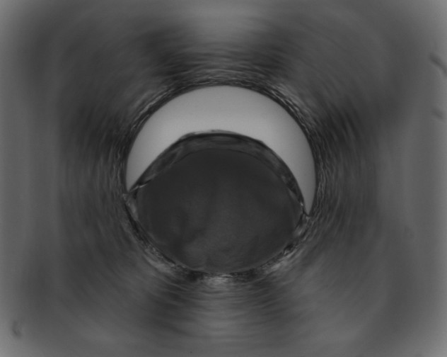 X0000091910325200710031024