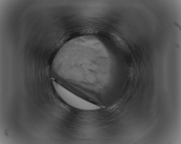 X0000091910326200710031024