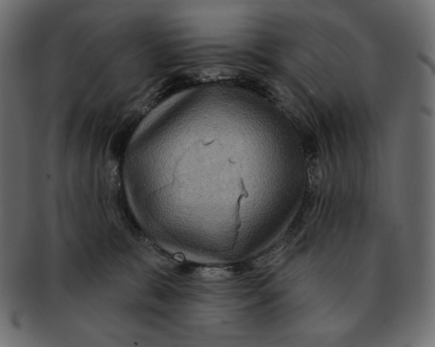 X0000091910327200710031024