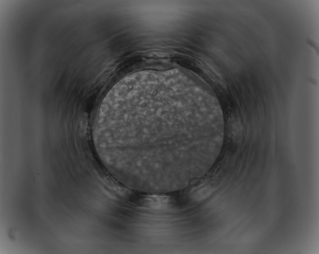 X0000091910328200710031024