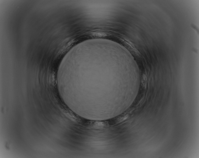 X0000091910330200710031024