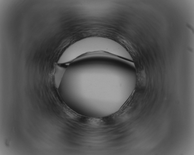 X0000091910333200710031024