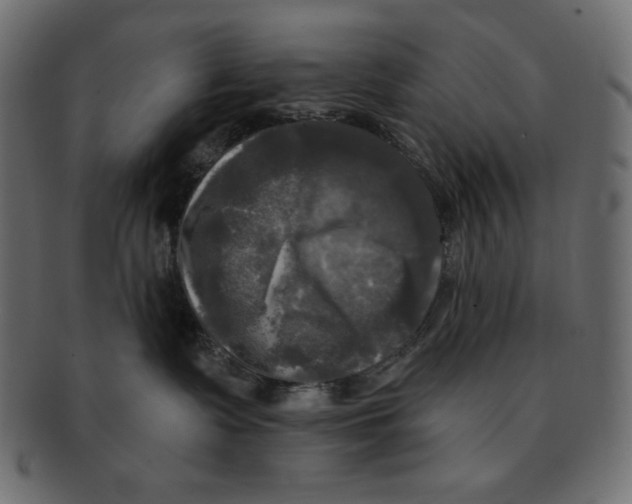 X0000091910335200710031024