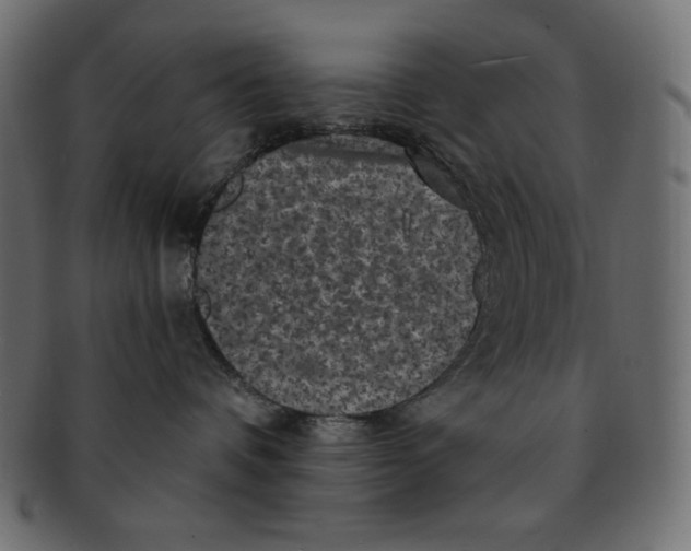 X0000091910336200710031024