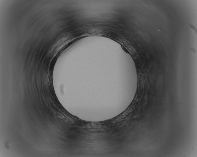 X0000091910338200710031023