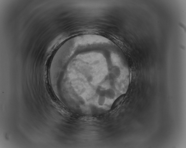 X0000091910339200710031023